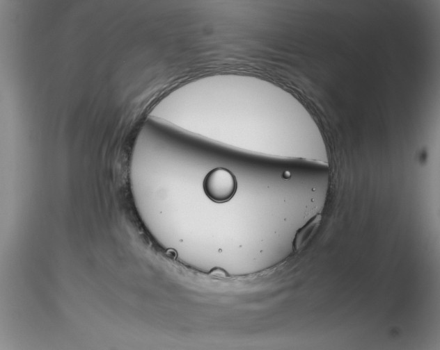 X0000116260043200912211745