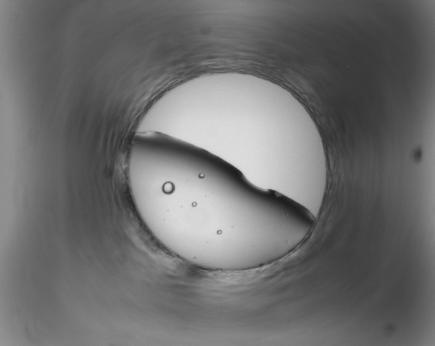 X0000116260045200912211745