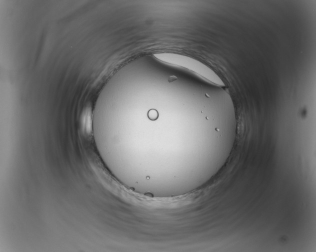 X0000116260046200912211745
