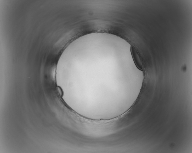X0000116260047200912211745