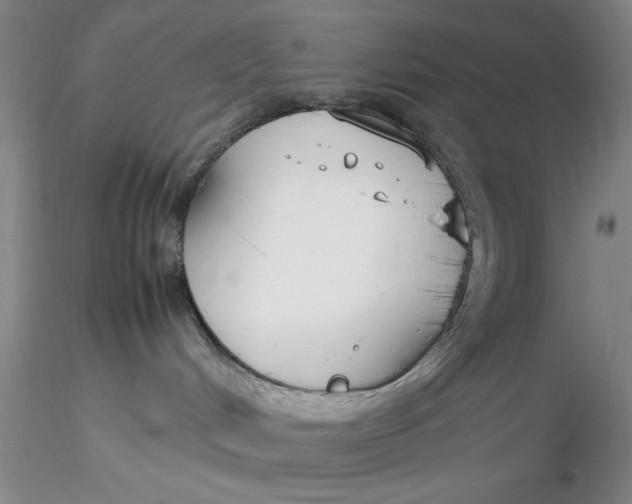 X0000116260048200912211745