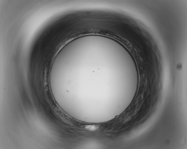 X0000116260050200912211745