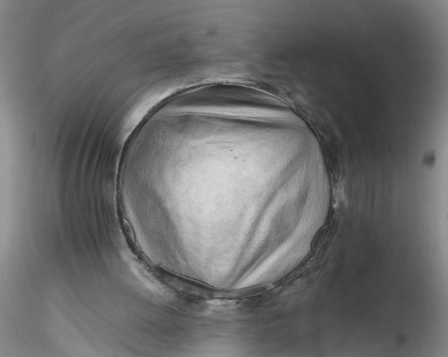 X0000116260052200912211745