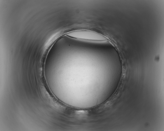 X0000116260053200912211745