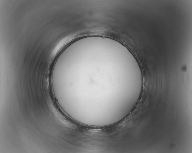 X0000116260054200912211745