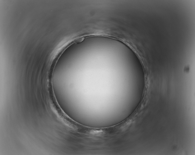 X0000116260055200912211745