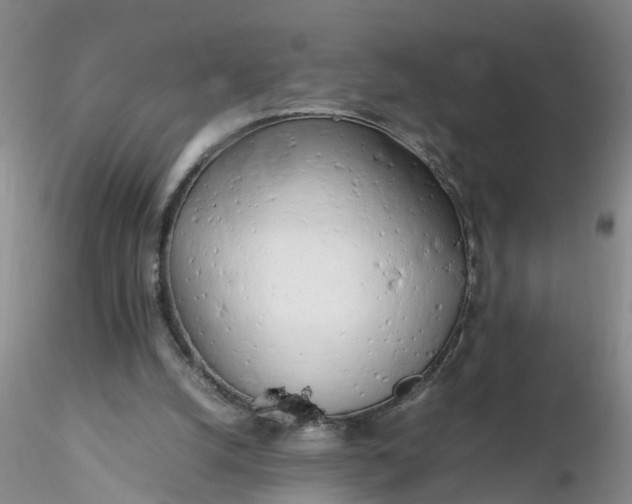 X0000116260056200912211745