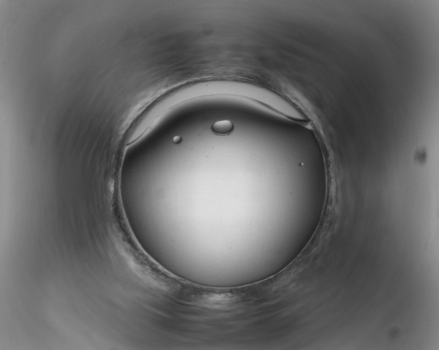 X0000116260059200912211745