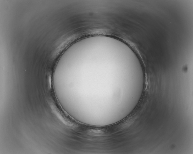 X0000116260061200912211745