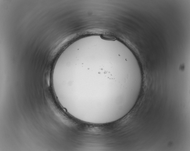 X0000116260062200912211745