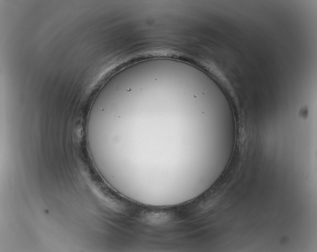 X0000116260063200912211745