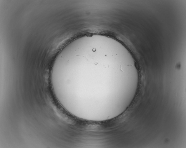 X0000116260066200912211745