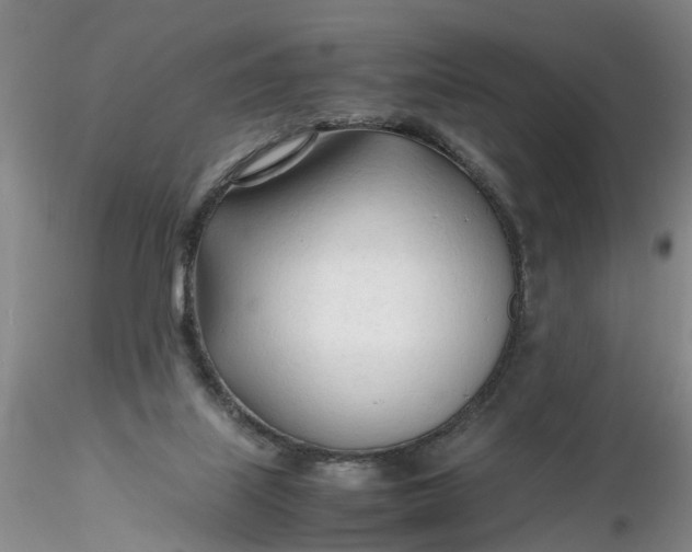 X0000116260067200912211745