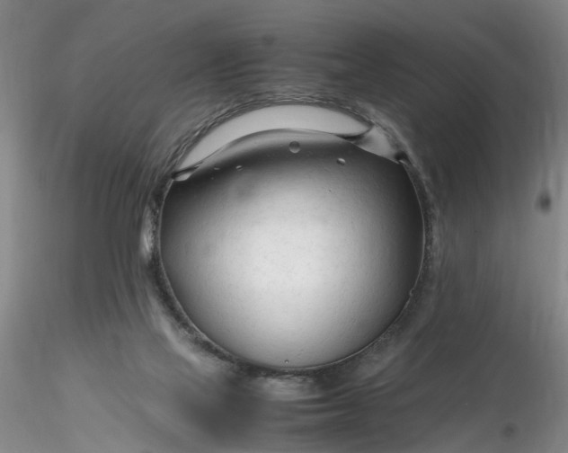 X0000116260069200912211745