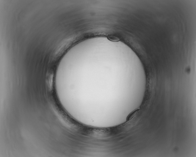 X0000116260070200912211745