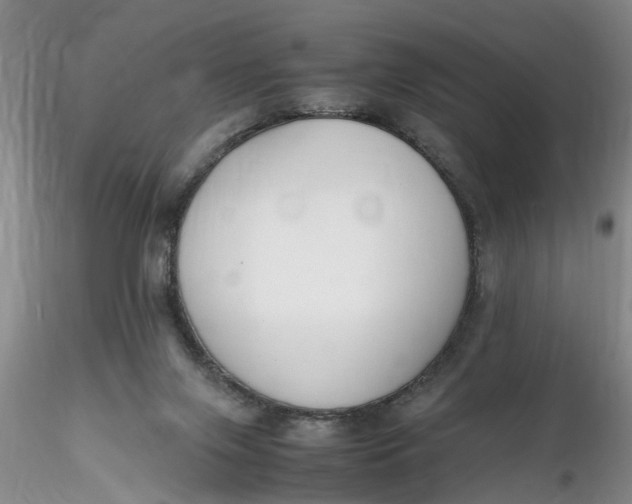 X0000116260071200912211745