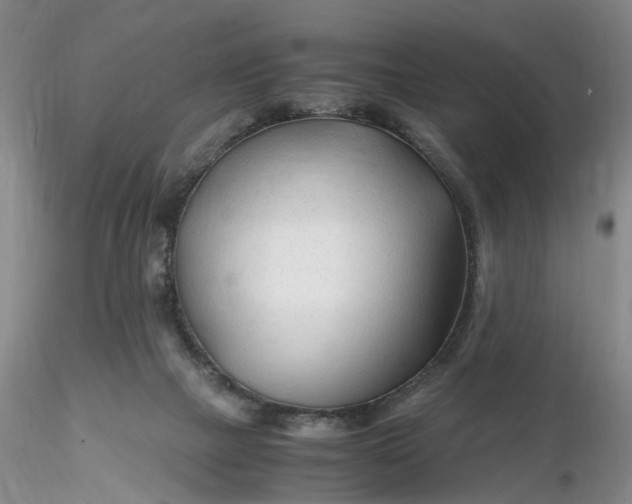 X0000116260073200912211745