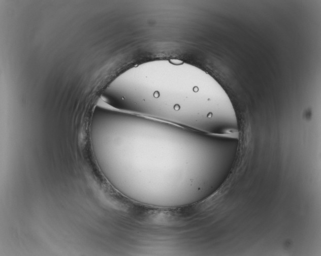 X0000116260074200912211745