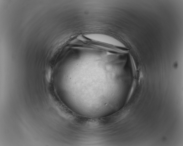 X0000116260076200912211745