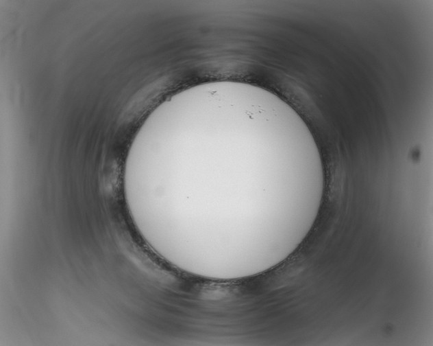 X0000116260077200912211745