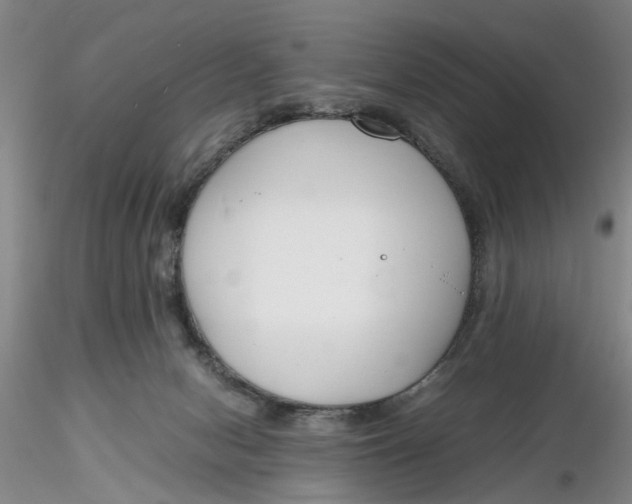 X0000116260078200912211745