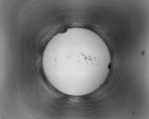 X0000116260079200912211745