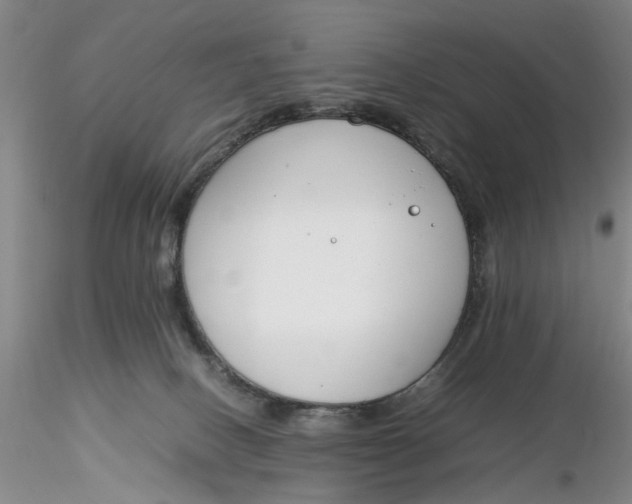 X0000116260082200912211745