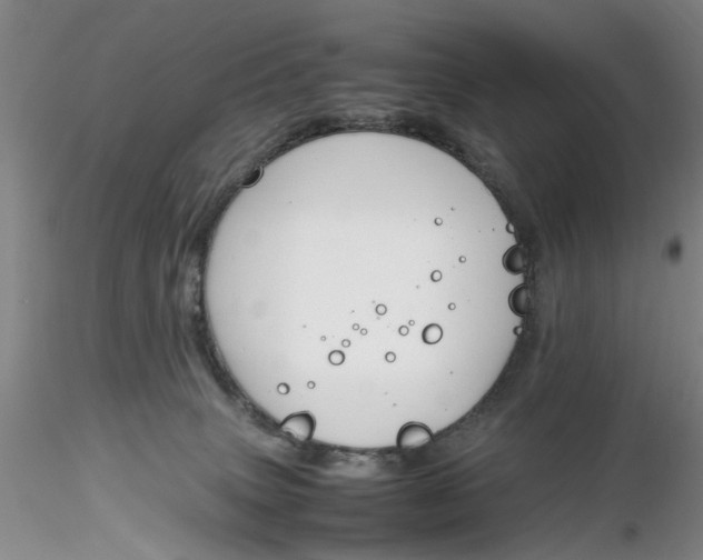 X0000116260083200912211745