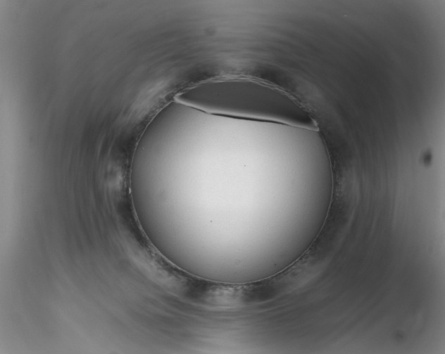 X0000116260084200912211745