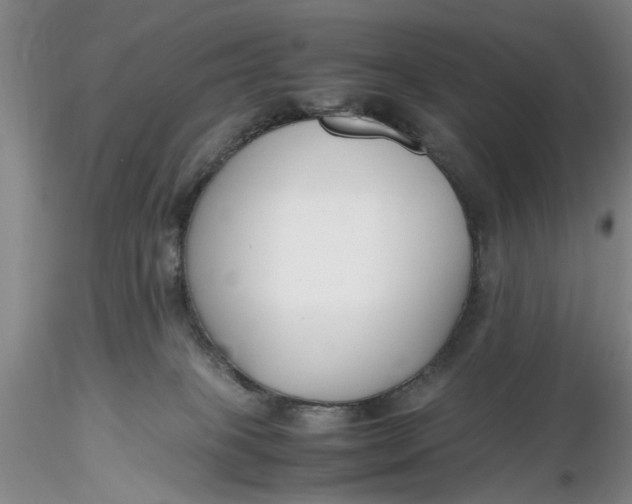 X0000116260085200912211745