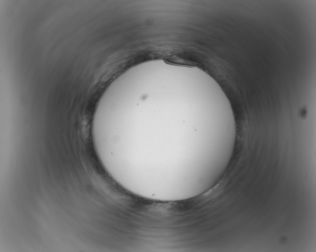 X0000116260086200912211745