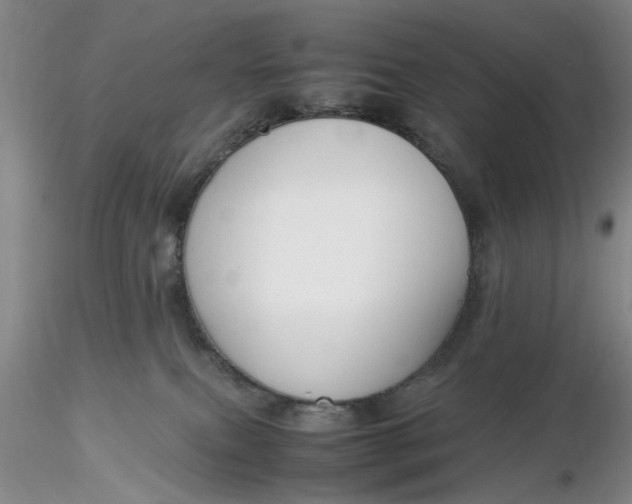 X0000116260087200912211745