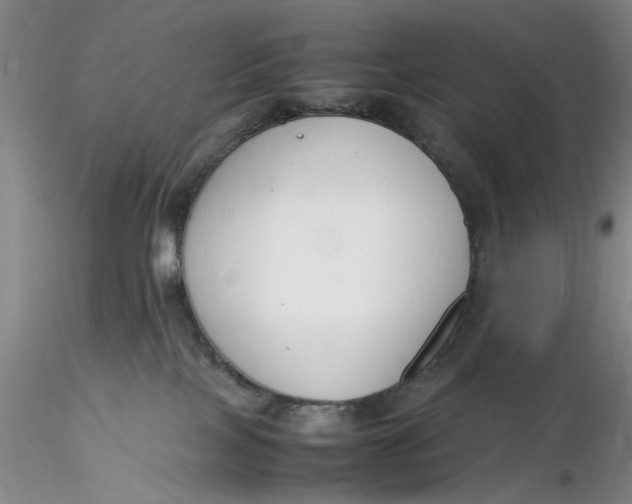 X0000116260089200912211745