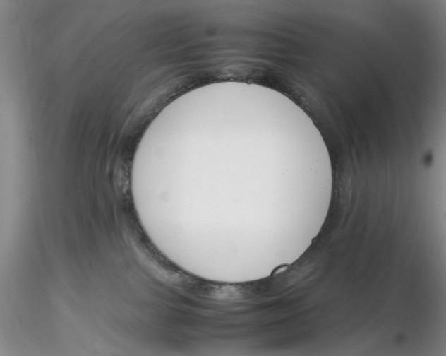 X0000116260091200912211745