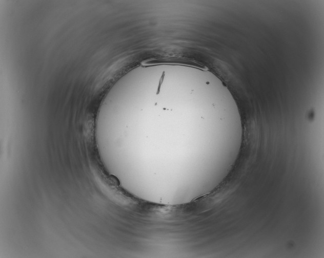X0000116260092200912211745