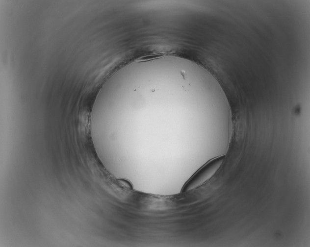 X0000116260093200912211745