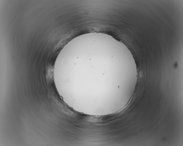 X0000116260094200912211745