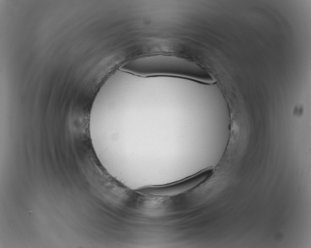 X0000116260096200912211745