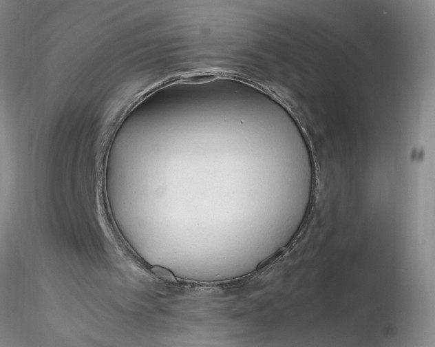 X0000116260097200912211745