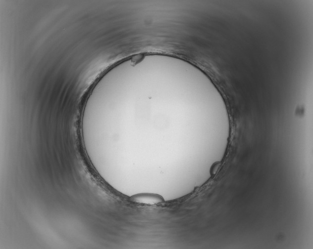 X0000116260098200912211745