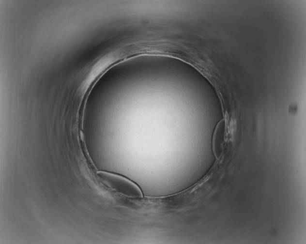 X0000116260099200912211745