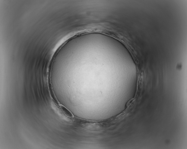 X0000116260100200912211745