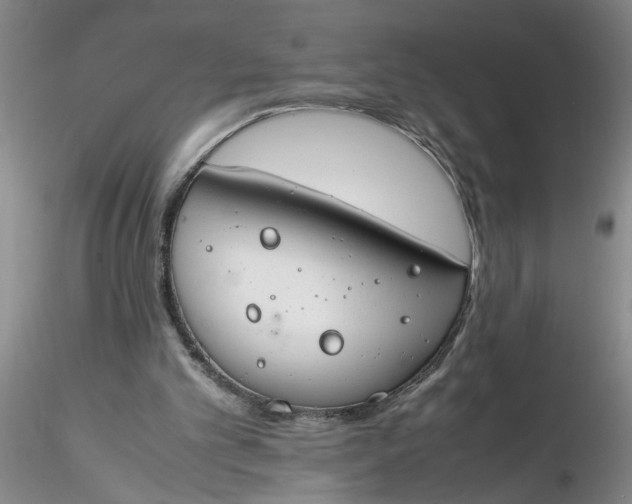 X0000116260101200912211745