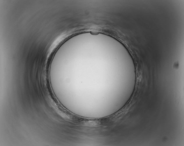 X0000116260102200912211745
