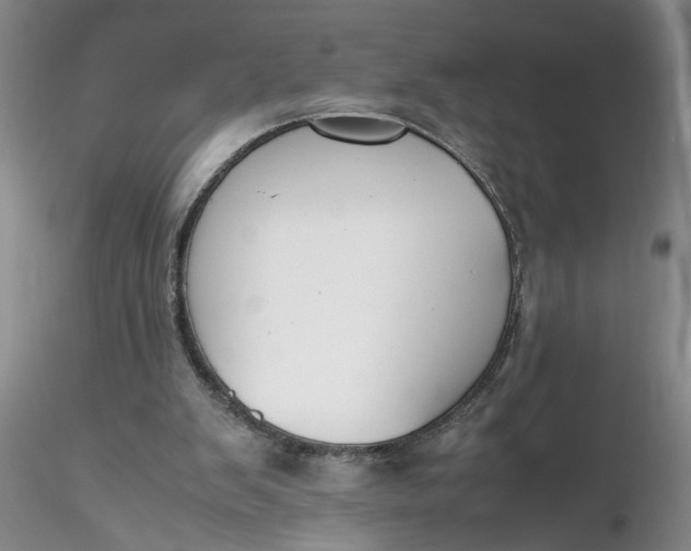 X0000116260103200912211745