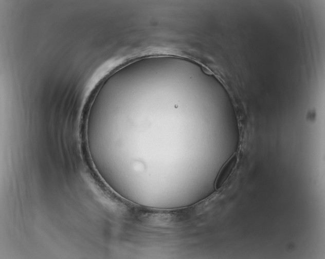 X0000116260104200912211745
