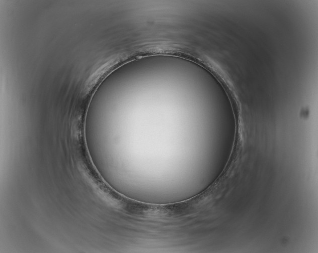X0000116260105200912211745