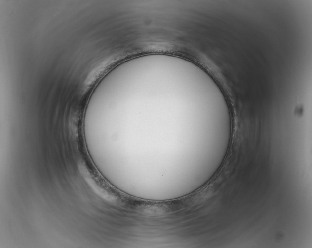 X0000116260106200912211745