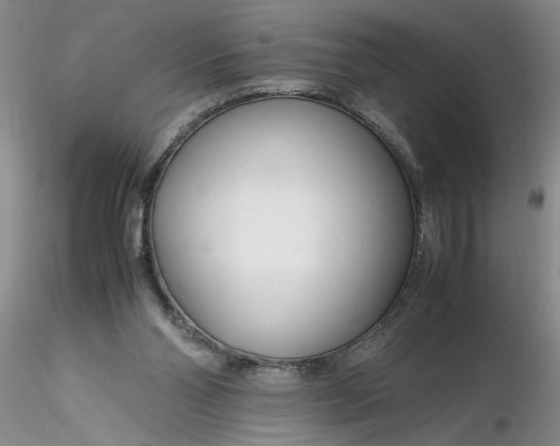 X0000116260110200912211745