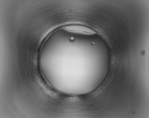 X0000116260112200912211744